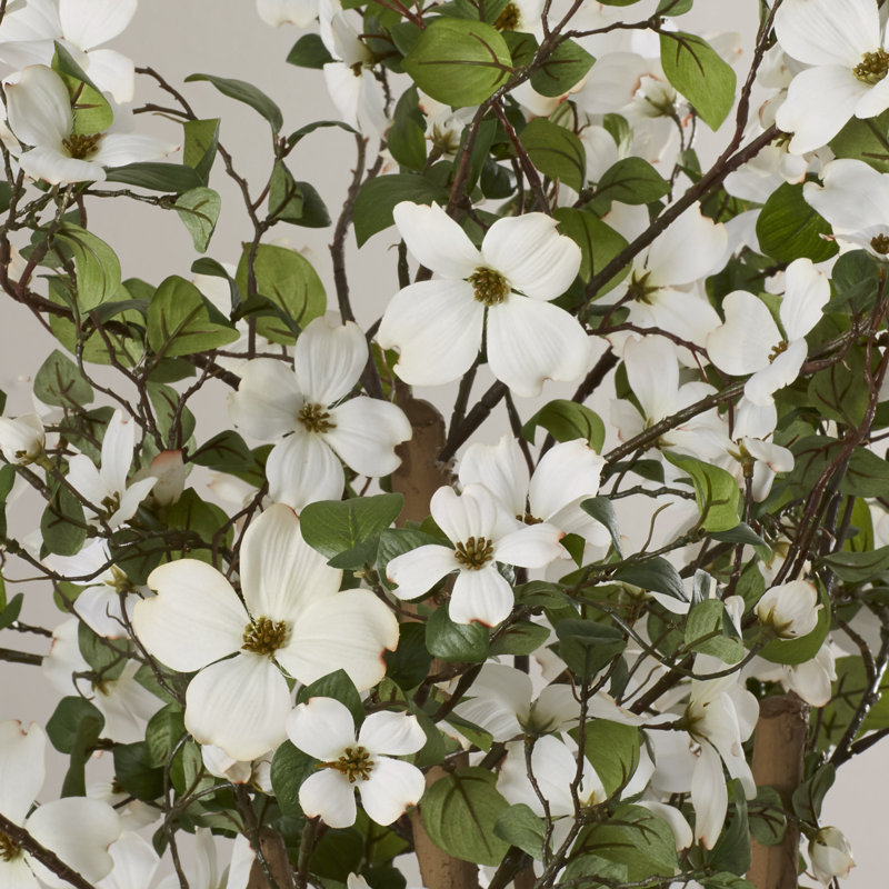Silk Dogwood Tree in Pot & Reviews AllModern
